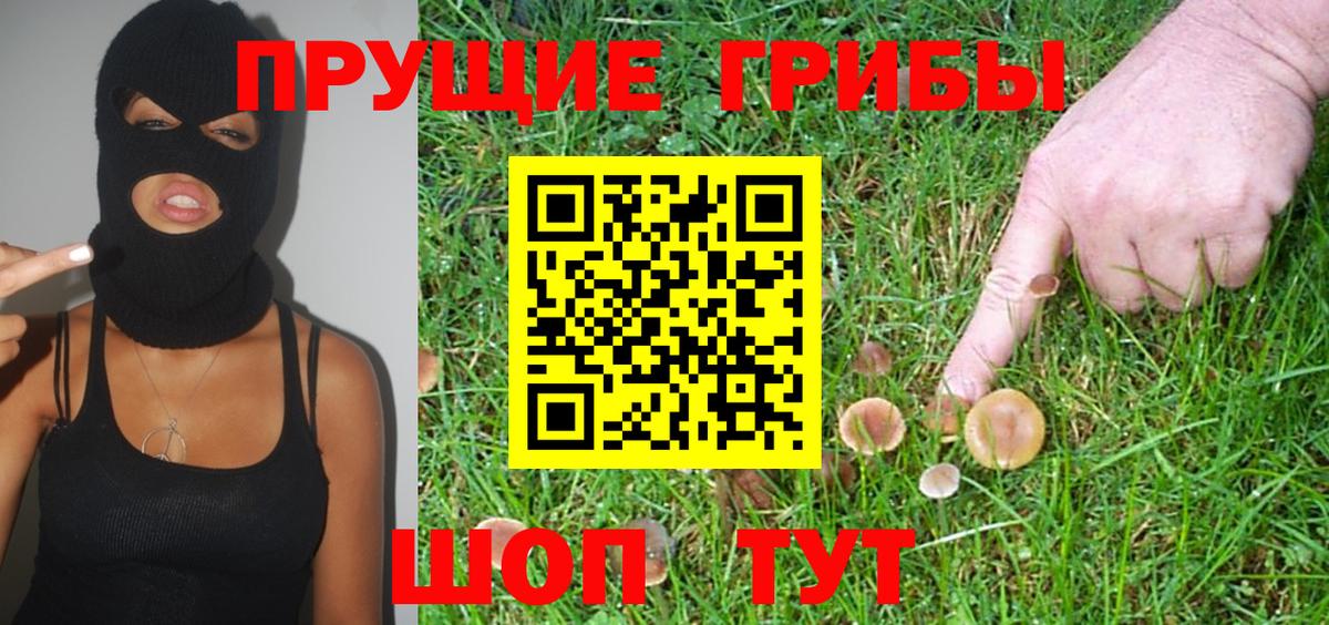Псилоцибиновые грибы Psilocybine cubensis Алапаевск