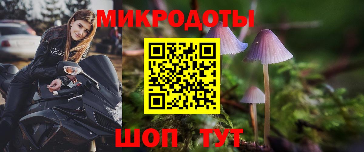 Галлюциногенные грибы GOLDEN TEACHER  Псилоцибиновые грибы мицелий  Вход с VPN  Алапаевск 
